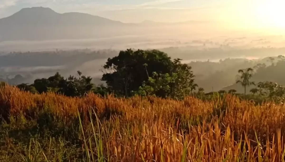Bukit Bawang Bakung salah satu destinasi wisata untuk menikmati pemandangan alam dari ketinggian di Lampung Barat  (youtube dunia indra)