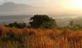 Mutiara Pagi: Pangeran Hukum (Bagian 2205)