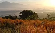 Mutiara Pagi: Pangeran Hukum (Bagian 2205)