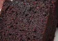 Kue Kek Coklat Cheese Super Empuk dan Gurih, Simak Resep Satset Dijamin Anti Gagal