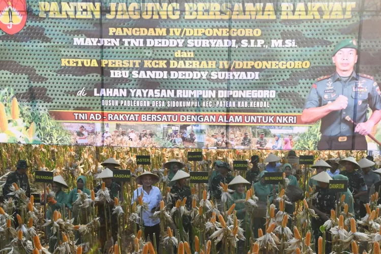 Pangdam IV Diponegoro melakukan panen raya jagung di Dusun Pablengan Desa Sidokumpul Patean.  (dokumen Pendim 0715 Kendal)