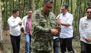 Perkuat Ketahanan Iklim, Rudy Susmanto Canangkan Gerakan Hutan Kota untuk Bogor Hijau