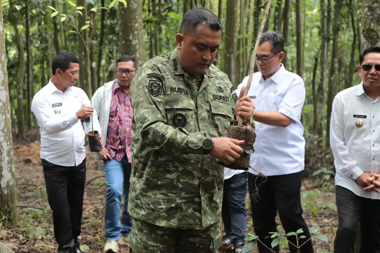 Terinspirasi Warga Megamendung, Pemkab Bogor Akan Bangun Hutan Kota (Foto/Diskominfo kabupaten Bogor.)