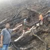 Karhutla di Tebo Makan Korban, Seorang Warga Ditemukan Tewas Terpanggang di Lokasi Kabakaran