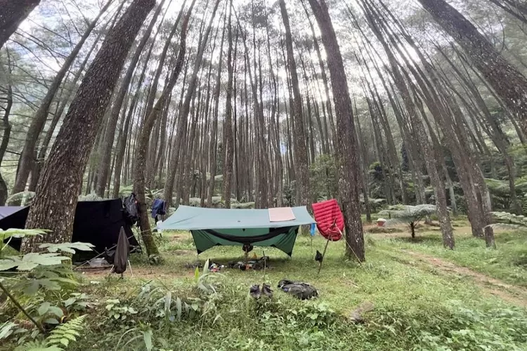 Libur Lebaran Ala Petualang, Ini Dia 3 Destinasi Wisata Camping Favorit di Bogor, Asli Suasana Bikin Betah (Gmaps/Kukuh YG)