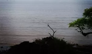 Kalau Main ke Jembatan Suramadu, Kunjungi Pantai Rongkang yang Miliki Tekstur Pasir yang Unik