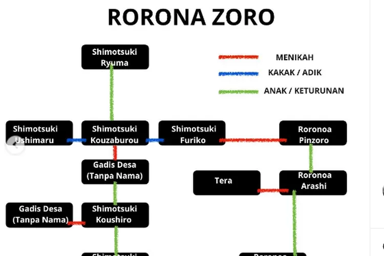 roronoa arashi.