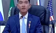 Wapres Gibran Hadiri KTT G20 Johannesburg atas Nama Prabowo, Angkat Isu Konflik Gaza Palestina