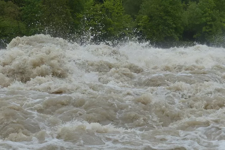 Banyak bantuan dari negara lain untuk banjir di Aceh dan Sumatera namun ditolak Indonesia, netizen buka suara (Pixabay)