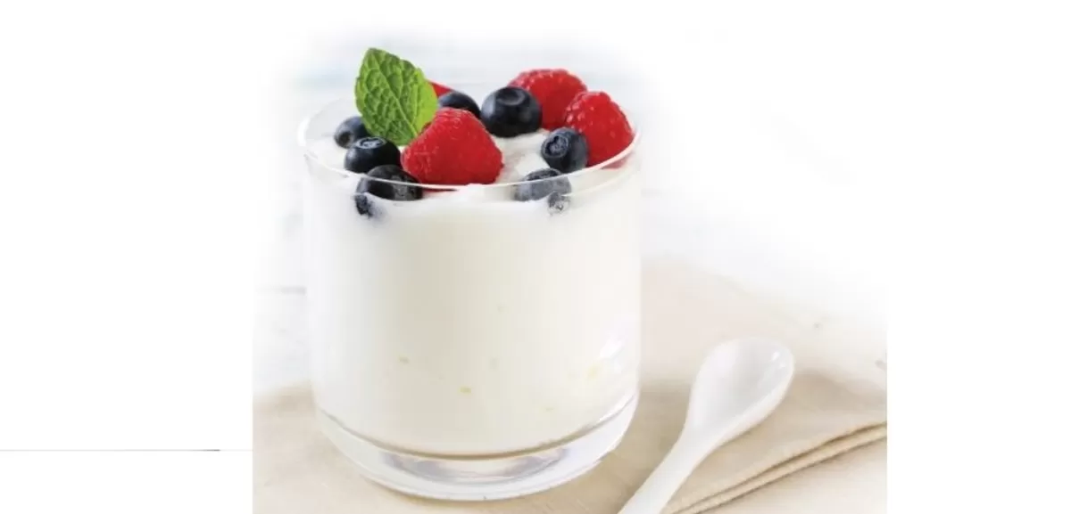 Plain Yoghurt