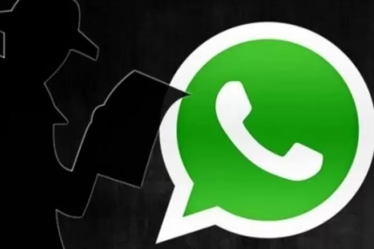 Cara Membuat Tulisan Berwarna Di Whatsapp Simpel Dan Mudah Jambi One