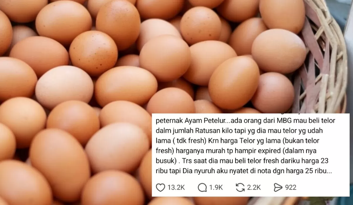 Gambar : Viral curhatan peternak ayam petelur yang diajak bekerja sama dengan dapur MBG untuk memasok telur lama dan dugaan manipulasi harga nota. (Threads/rissaayu90)
