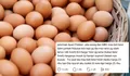 Curhatan Penjual Telur Ayam saat Diajak Kerja Sama Dapur MBG, Ungkap Permintaan di Bawah Harga Pasar