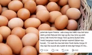 Curhatan Penjual Telur Ayam saat Diajak Kerja Sama Dapur MBG, Ungkap Permintaan di Bawah Harga Pasar