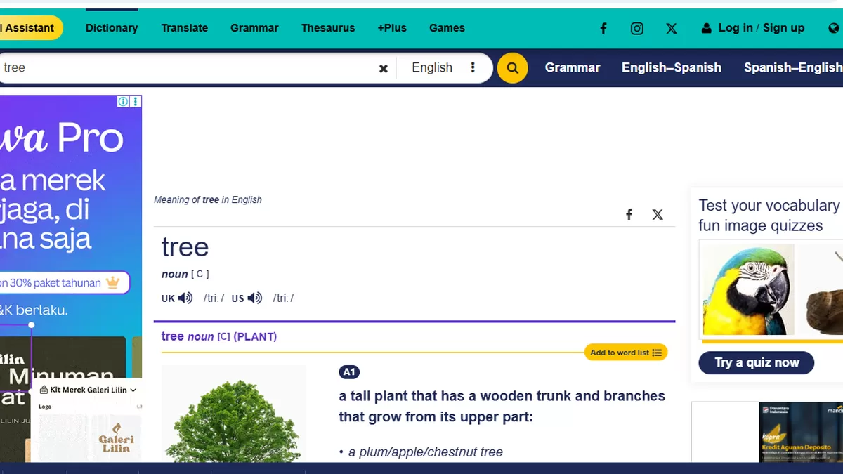 Tangkapan layar website Cambridge Dictionary (Cambridge Dictionary)
