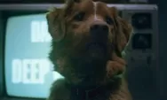 Rekomendasi 6 Film Horor Unik dengan POV Anjing Peliharaan