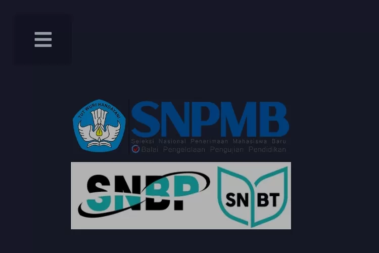 Registrasi Akun Selesai! Berikut Langkah-langkah Verifikasi Data SNPMB ...