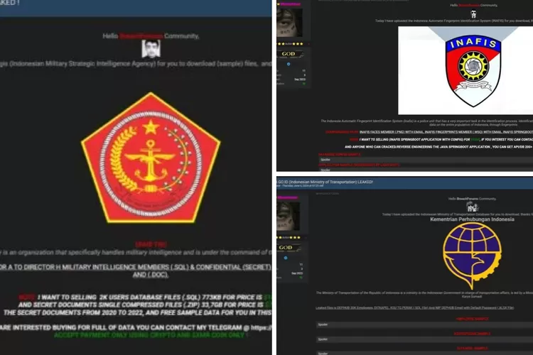 Bocor! Data Kemenhub, Bais Dan Inafis Diretas Dan Dijual Di DarkWeb ...