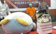 Pria Asal Bone Diciduk Polres Morowali, Selundupkan Sabu 1 Kilogram dalam Boneka di Bahodopi