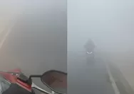 Warga Kalsel Adu Suara Klakson di Jalanan, Jarak Pandang Terbatas  dan Lampu Kendaraan Tak Tembus Kabut Asap Karena Dampak Karhutla