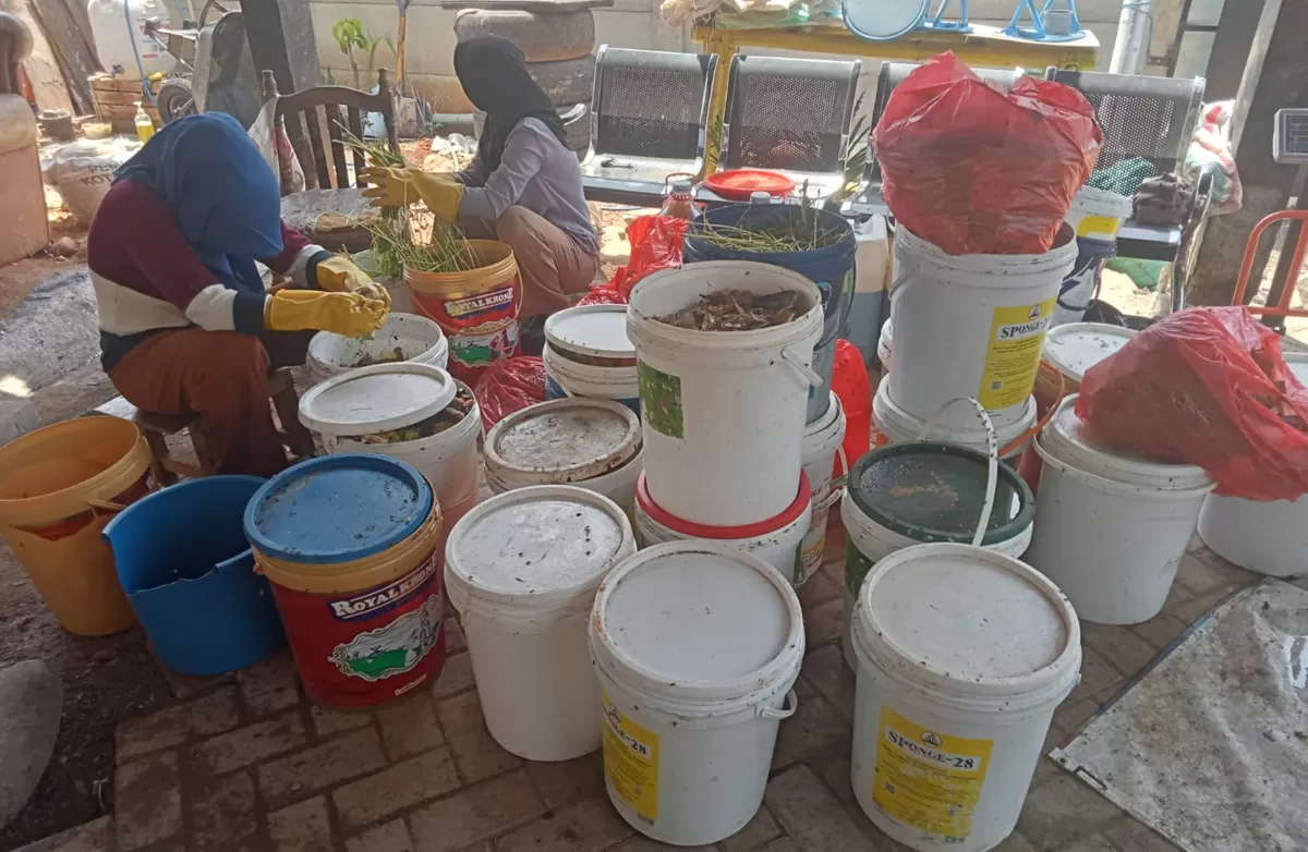 FOTO: Tampak pemilahan sampah di TPS 3R Tamalanrea, Rabu (9/9) mengolah hingga 2 ton sampah basah warga menjadi pupuk organik bernilai guna dan ekonomi. (Dok.Metroselebes.com/Ade)