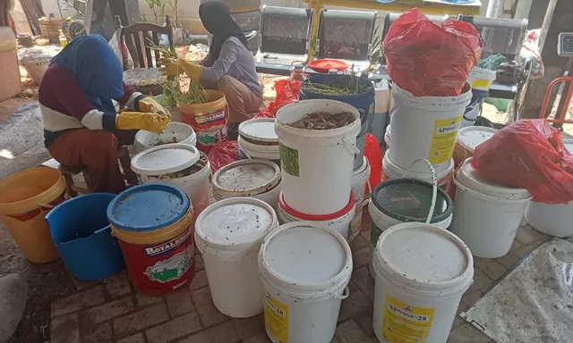 Limbah Dapur Jadi Cuan: TPS 3R Tamalanrea Olah 2 Ton Sampah Basah Jadi Pupuk Organik 
