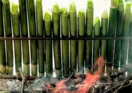 Pecahkan Rekor! Abdya Bakar 17 Ribu Lemang di HUT ke-24, Siapkan 34 Ribu Tape