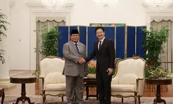 Prabowo dan PM Singapura Bahas Kerja Sama Strategis di Istana Negara: Fokus pada Ekonomi, Energi Hijau, dan Ketahanan Pangan