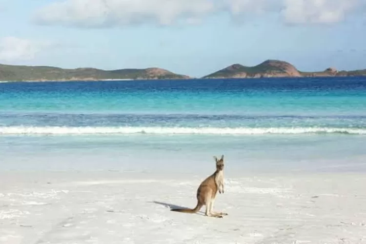 Ini 7 Destinasi Ikonik di Australia Barat yang Harus Masuk dalam Daftar Tujuan Wisata Kamu!