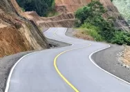 Sejarah Jalan Trans Papua Proyek Infrastruktur Strategis Nasional Jadi Tulang Punggung Konektivitas di Tanah Papua