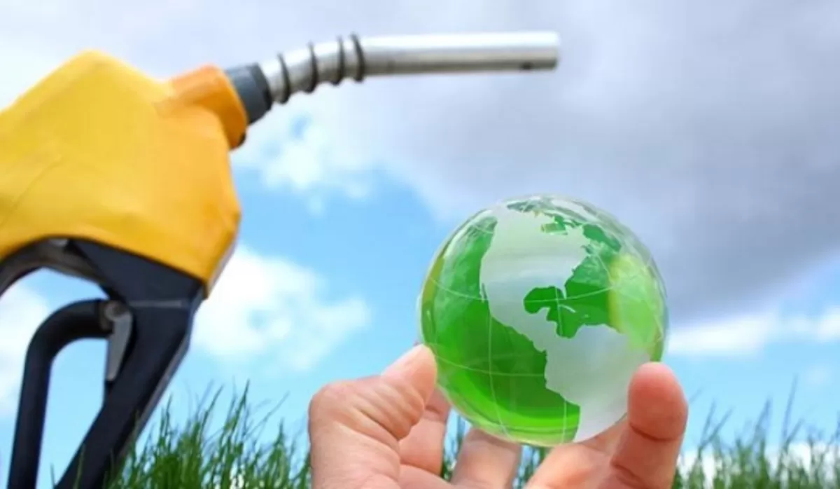 green fuel. Dok Ist