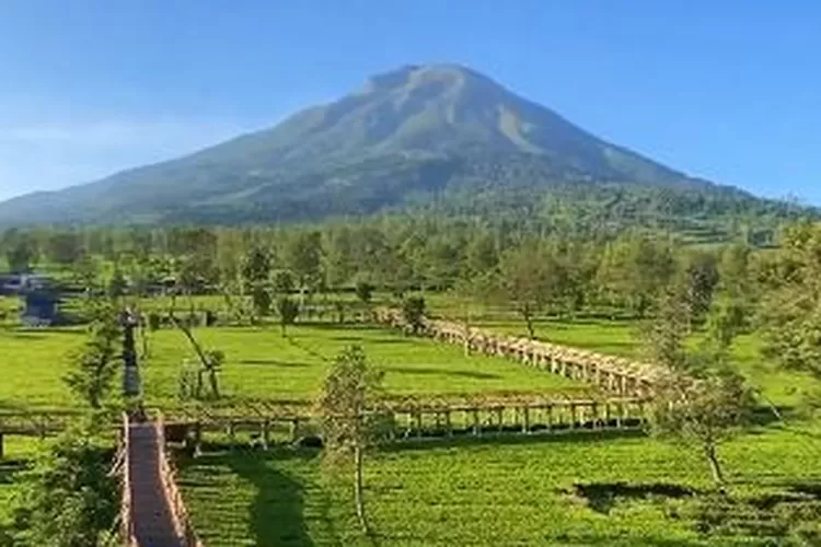 Ada Kebun Teh Sikatok, Ini 5 Tempat Wisata Eksotis Dan Populer Di ...