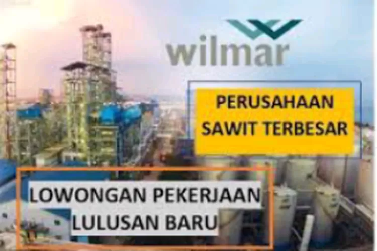 Wilmar Group Buka Lowongan Kerja Terbaru Bagi Lulusan Sarjana Semua ...