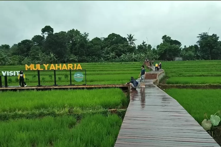ilustrasi -- Rekomendasi Kampung Wisata di Kota Bogor Part I, Ada yang Punya Potensi Pemandangan Alam Hingga Kerajinan (Gmaps/Aga Nugra)
