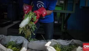 Kewajiban Pilah Sampah di Jakarta, Apa yang Kurang?   Baca artikel CNN Indonesia "Kewajiban Pilah Sampah di Jakarta, Apa yang Kurang?" selengkapnya di
