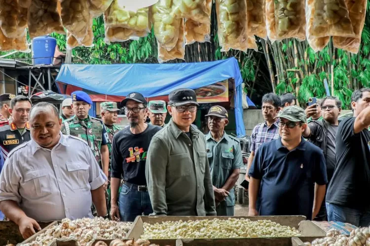 Bima Arya tengah cek pasar. (Megi/Bogor Times)