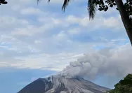 Pasca Erupsi Gunung Ruang, Tujuh Bandara di Sulawesi Ditutup Sementara