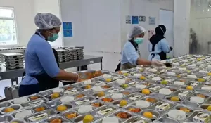 BGN Siapkan Marketplace Bahan Baku MBG, Tujuh Komoditas Jadi Prioritas