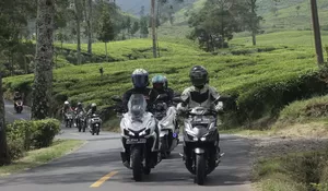 Kenali Arti dan Fungsi Marka Jalan, Panduan Penting untuk Pengendara