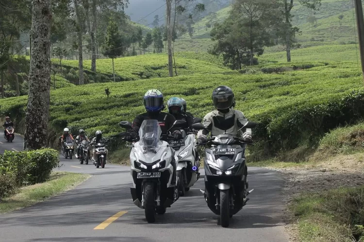 Pengendara wajib memahami marka jalan.