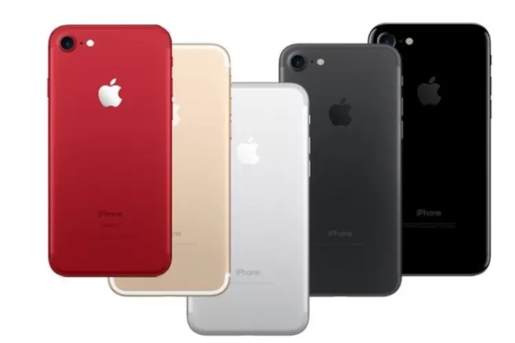 Iphone Murah 2024 Berkualitas Tinggi dan Berteknologi Canggih! Apa Saja? (Blibli.com)