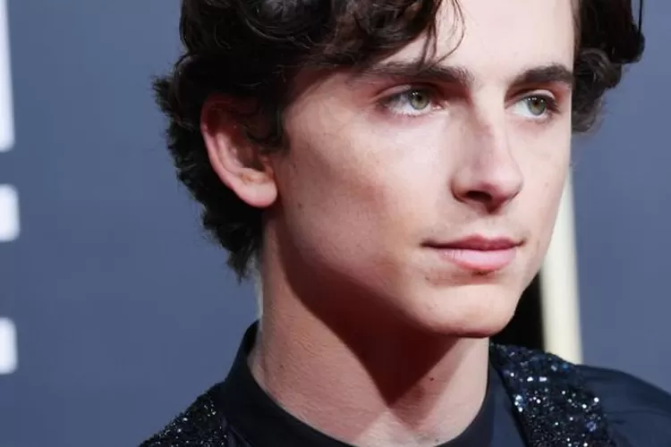 Ini yang Diceritakan Timothee Chalamet Tentang Media Sosial dan Film