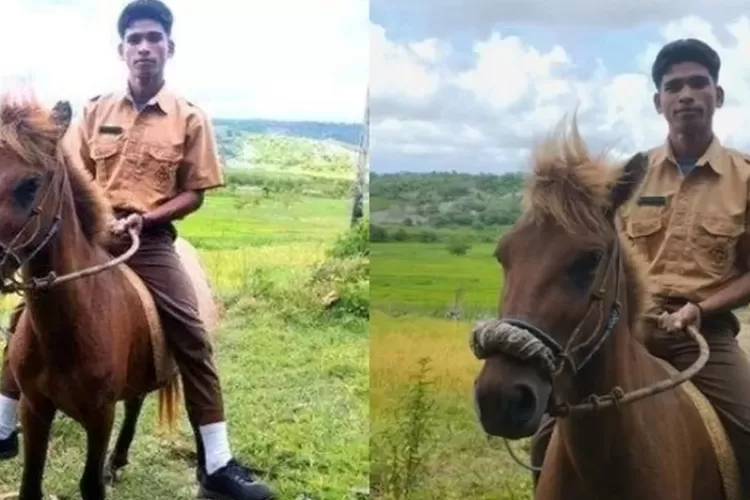 Hanya di NTT!! Tunggangi Kuda ke Sekolah demi Masa Depan, Tangisan Siswa Pedalaman Rote Ndao (JF Editor)