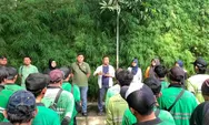 Tingkatkan Kesiapsiagaan Musim Hujan, Distamhut Gelar Penopingan Pohon Serentak di Lima Wilayah Kota