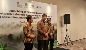 Adik Prabowo Ingin Indonesia jadi Pusat Pelatihan dan Pelestarian Bambu Dunia