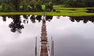 Tasek Merimbun, salah satu potensi wisata di Brunei Darussalam yang ternyata menawarkan pesona keindahan alami ini