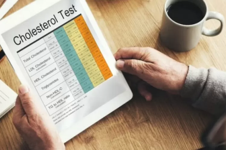 Ilustrasi. Hidangan berlemak yang banyak disajikan saat Lebaran rawan membuat kadar kolesterol jahat dalam darah melonjak. 