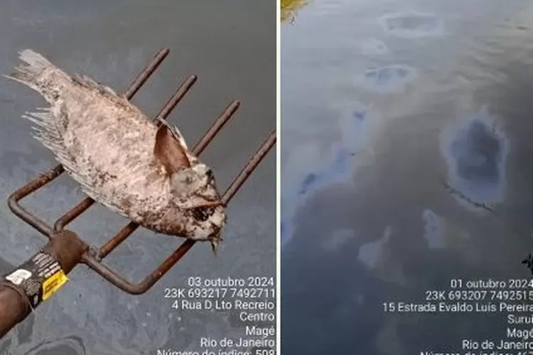 Tumpahan tiga jenis zat pencemar&mdash;bensin, solar, dan emulsi aspal - di Teluk Guanabara, Mag&eacute;, Rio de Janeiro, 1 Oktober 2024.