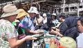 Terpukau Pinisi Bulukumba, 90 Turis Asing dari Lima Negara Datangi Tana Beru