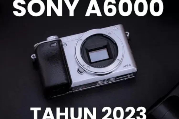 Kamera best sale sony x7